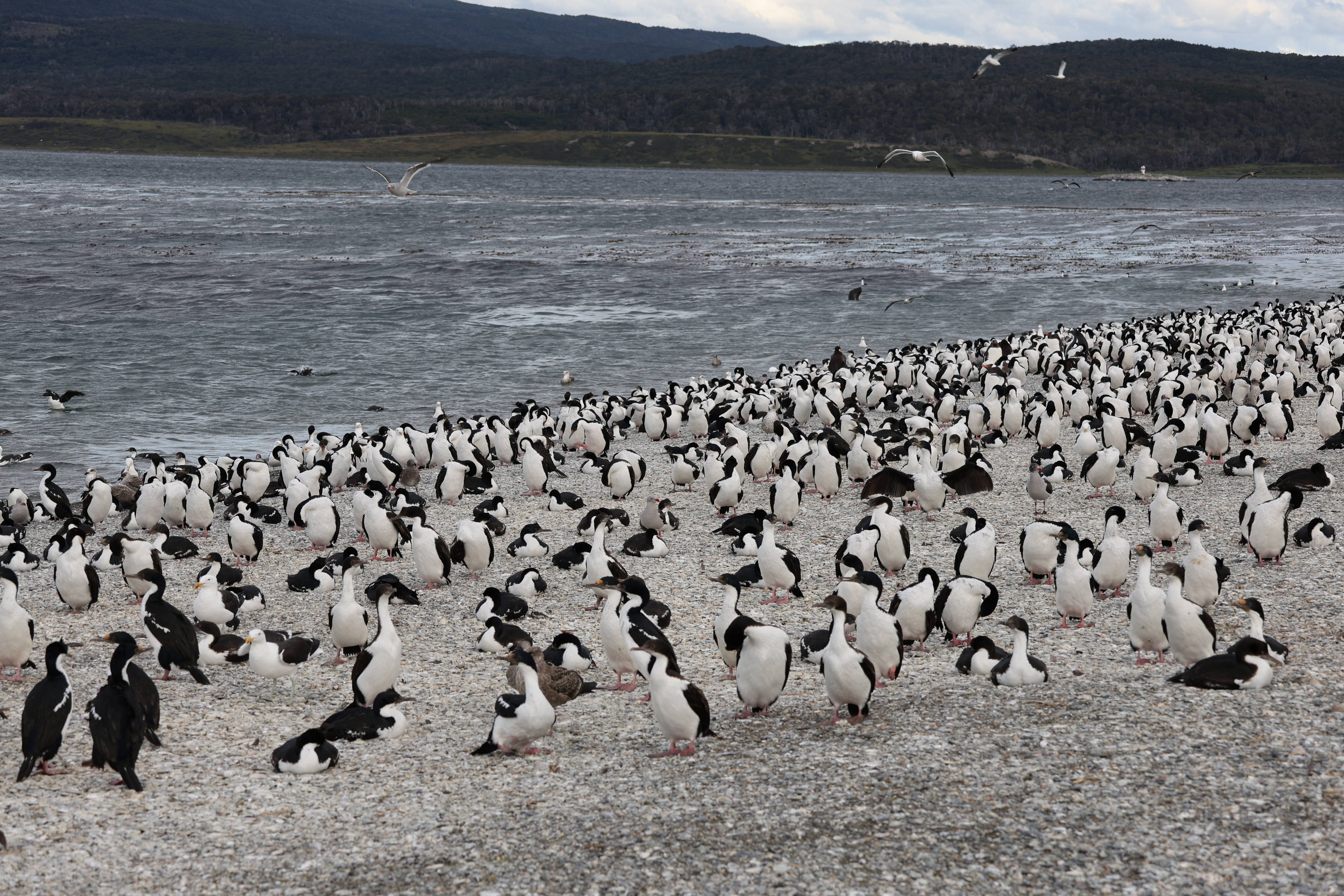 Chile
